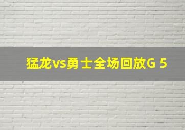 猛龙vs勇士全场回放G 5